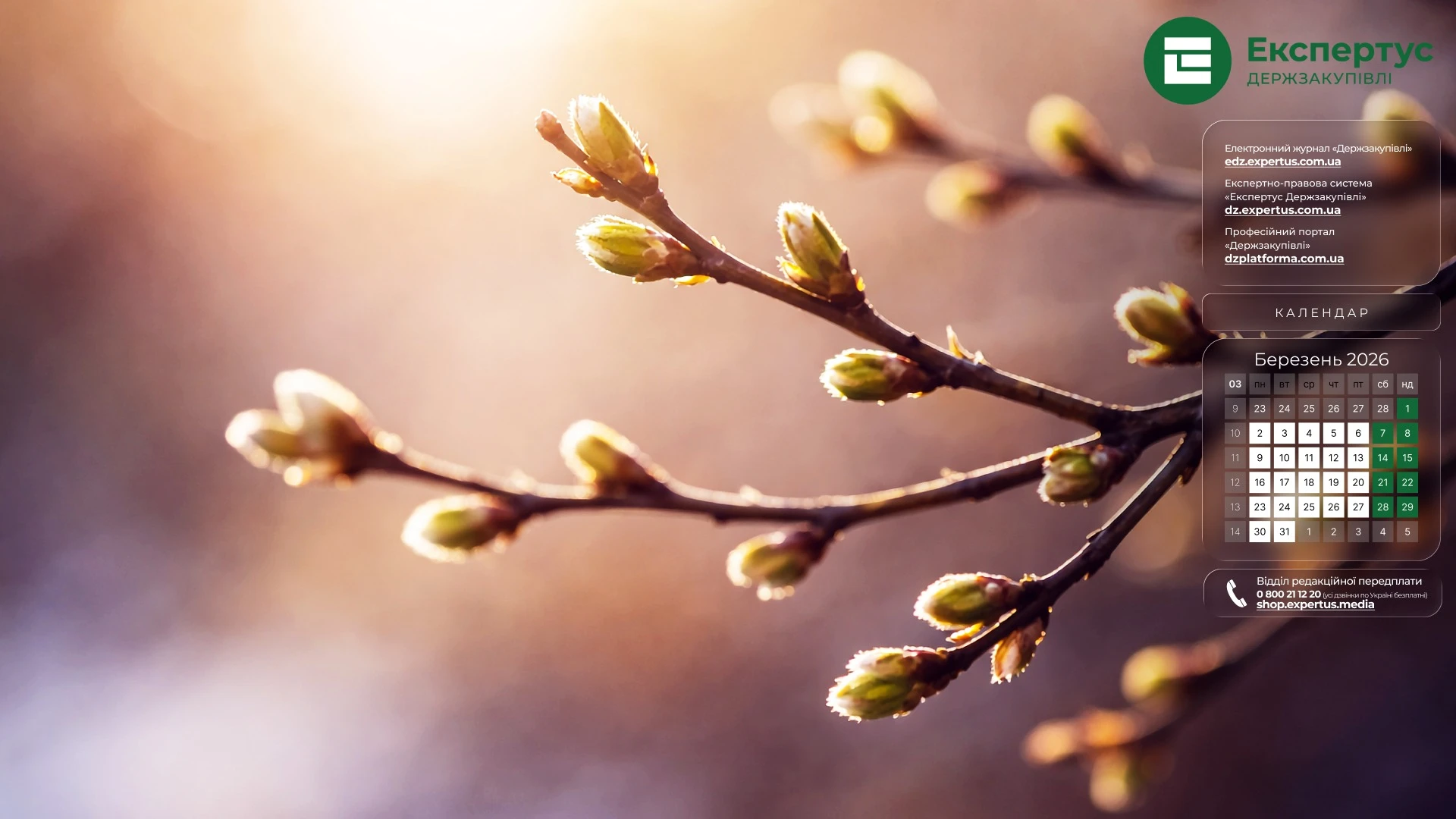 Заставки на робочий стіл із календарем на березень 2026 року