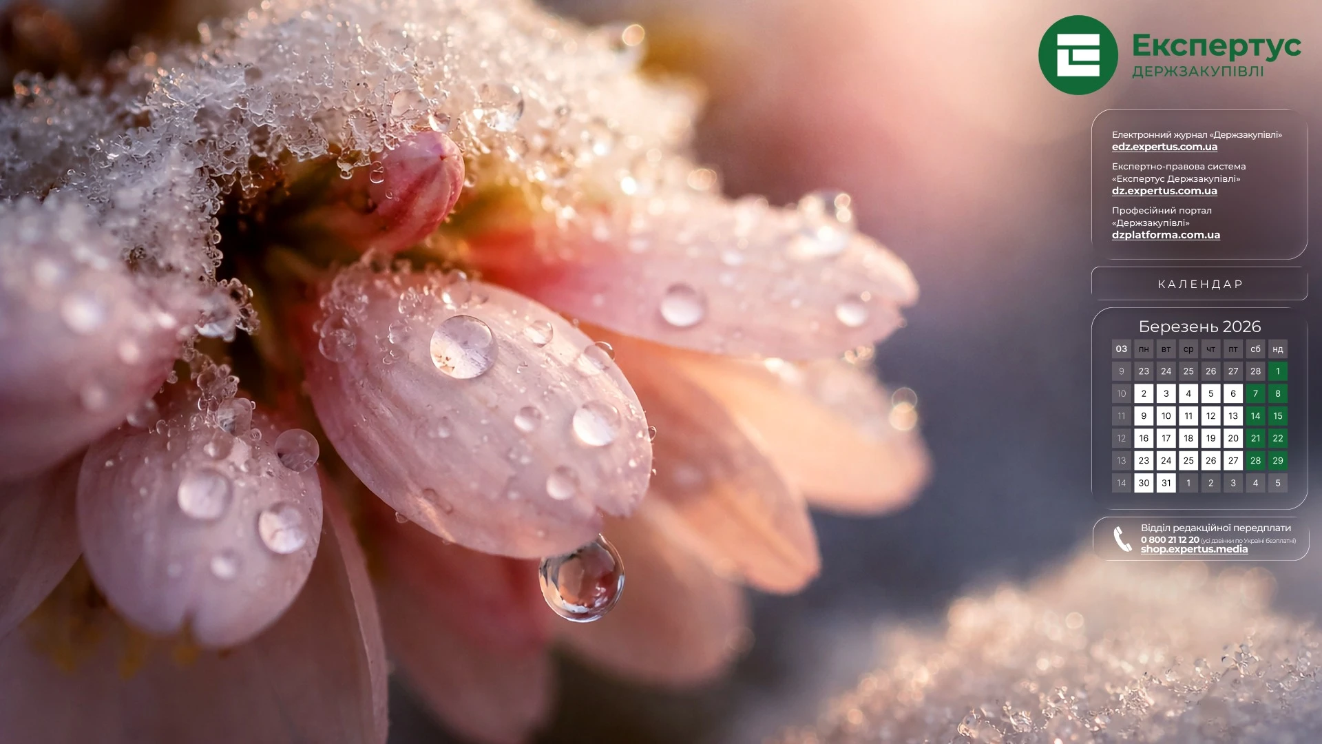 Заставки на робочий стіл із календарем на березень 2026 року