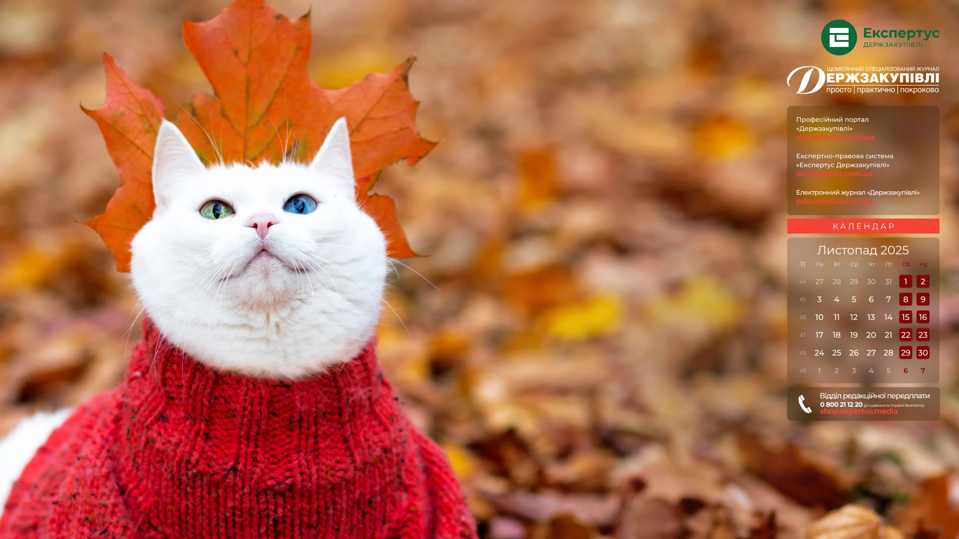 шпалери на робочий стіл шпалери на робочий стіл Держзакупівлі