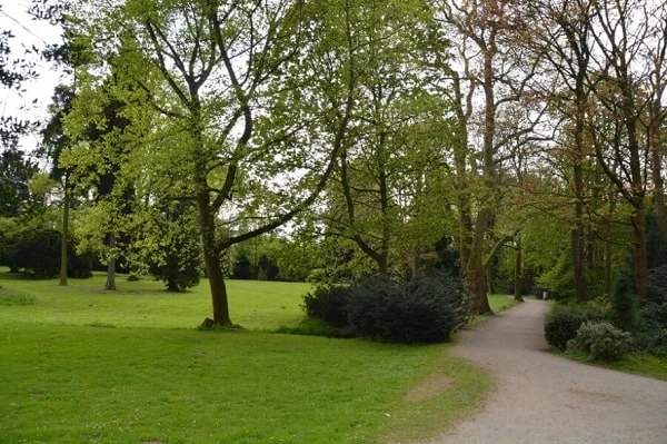 БЕБ упередило розтрату 3,2 млн грн бюджетних коштів на обрізці дерев