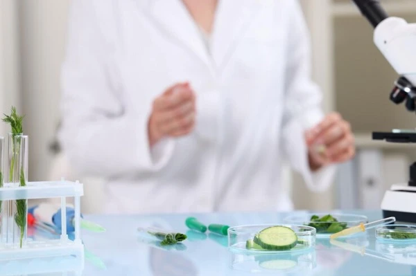 Харчова продукція для ЗСУ під контролем: Міноборони залучає Держпродспоживслужбу до перевірок