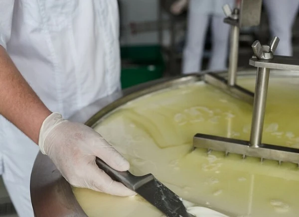 ДОТ оштрафував на понад 6 млн грн низку постачальників продуктів для ЗСУ